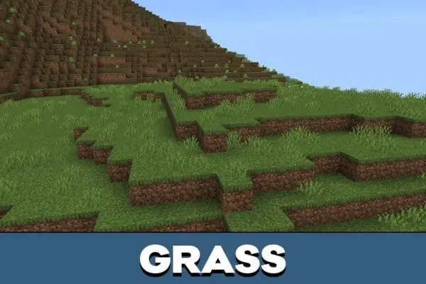 Grass from Complementary Shader for Minecraft PE