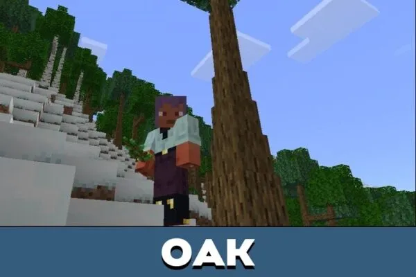 Oak from Dynamic Trees Mod for Minecraft PE