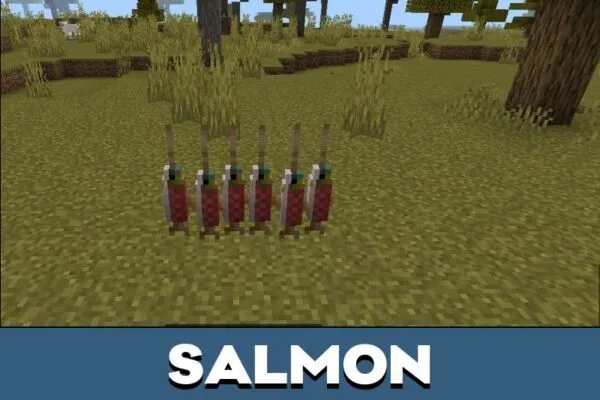 Salmon from Dusty Decorations Mod for Minecraft PE