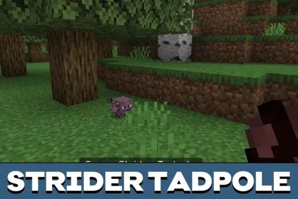 Strider Tadpole from Nethermore Mod for Minecraft PE