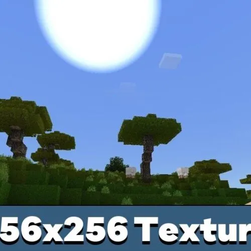 256&#215;256 Texture Pack for Minecraft PE