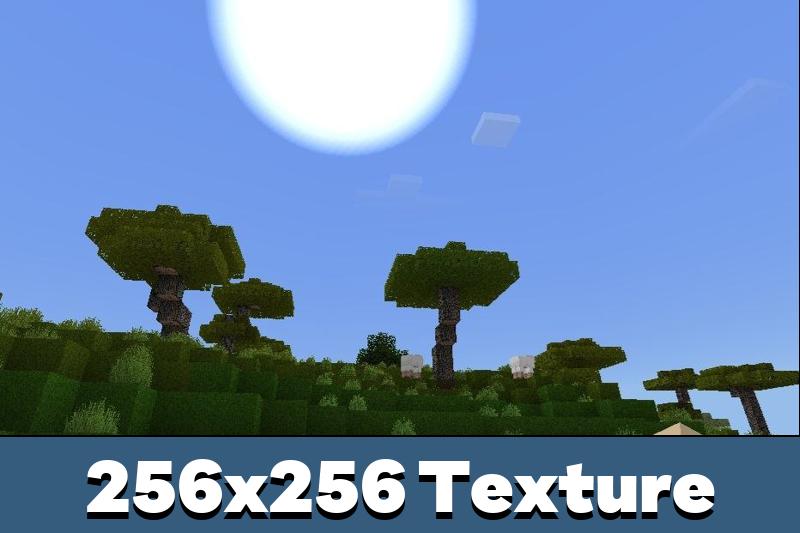 Download 256x256 Texture Pack for Minecraft Bedrock Edition