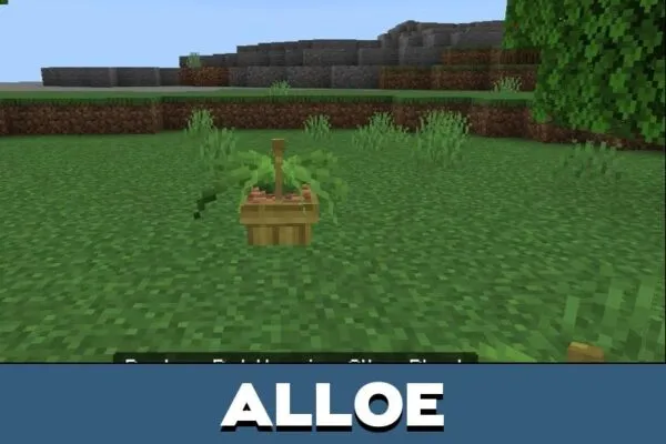 Alloe from Asian Craft Mod for Minecraft PE