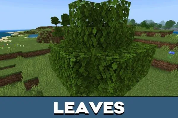 Leaves from Bare Bones Texture Pack for Minecraft PE