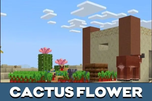 Cactus Flower from Minecraft PE 1.21