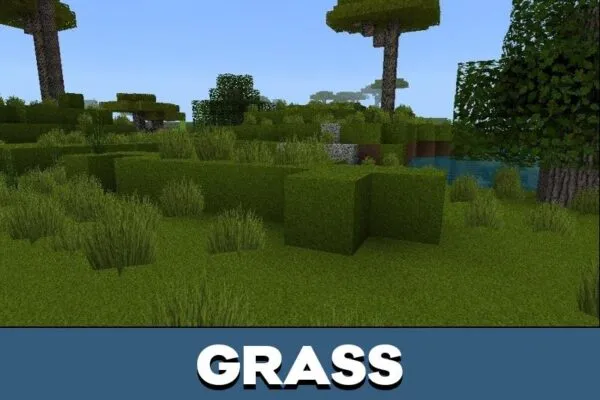 Grass from 256x256 Texture Pack for Minecraft PE