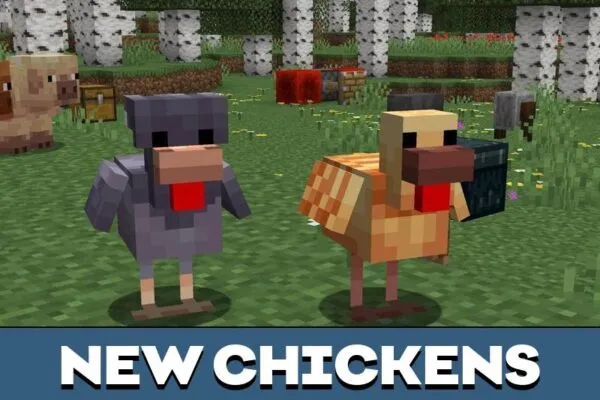 Chicken Variants from Minecraft PE 1.21