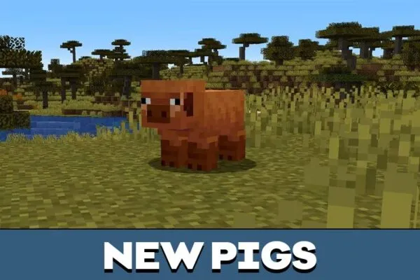 Pig Variants from Minecraft 1.21