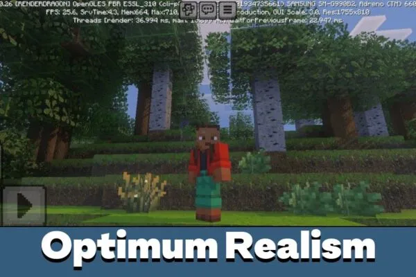 Optimum Realism from Realism Mod for Minecraft PE
