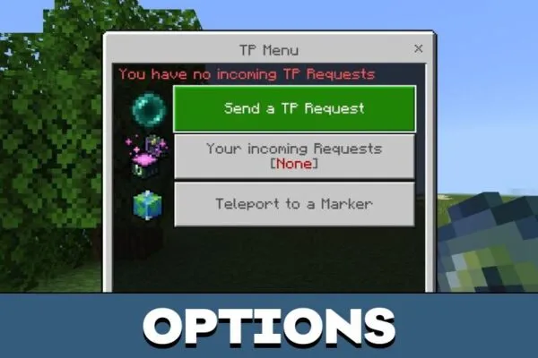 Options from Request TP Mod for Minecraft PE