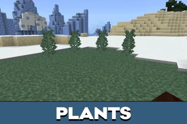 Plants from Enhanced Tweaks Texture Pack for Minecraft PE