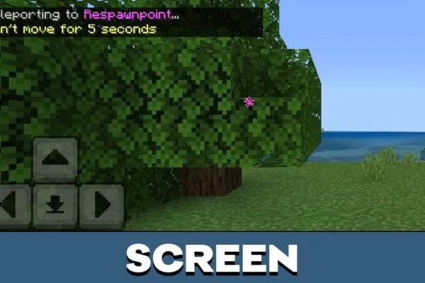 Screen from Request TP Mod for Minecraft PE