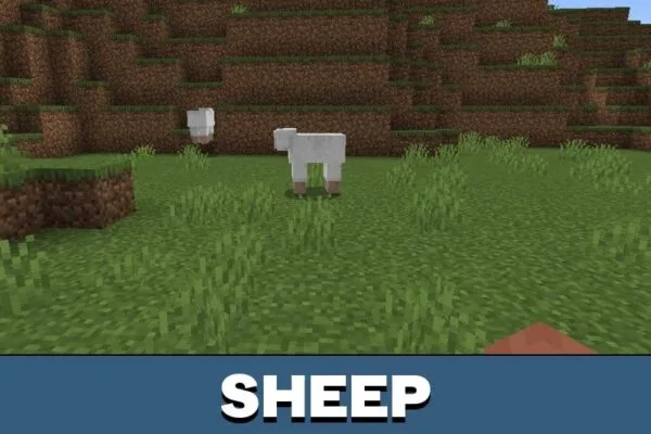 Sheep from Better Mob Animations Texture Pack for Minecraft PE