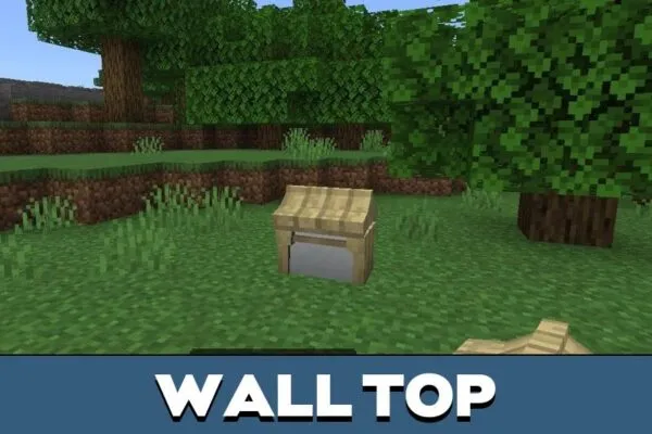 Wall Top from Asian Craft Mod for Minecraft PE