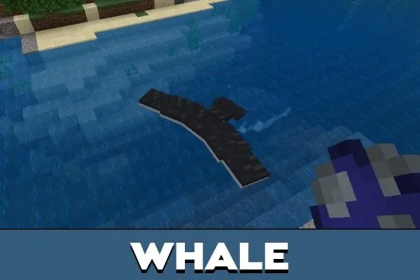 Whale from Immersive Fauna All Biomes Mod for Minecraft PE