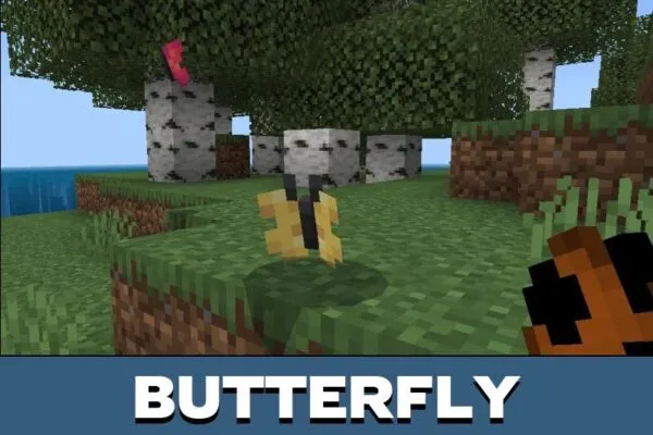 Butterfly from Random Mod for Minecraft PE