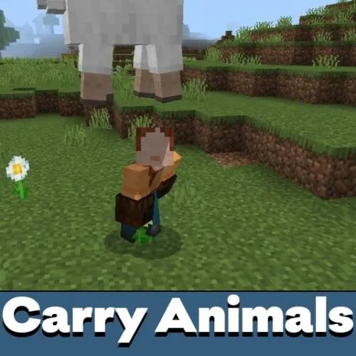 Carry Animals Mod for Minecraft PE