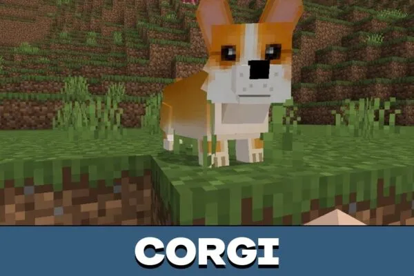 Corgi from Dog Mod for Minecraft PE