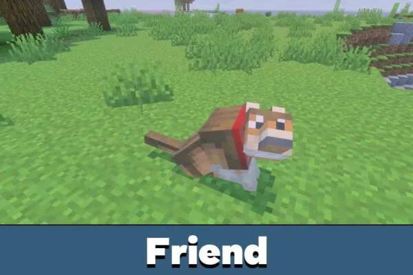 Friend from Dog Mod for Minecraft PE