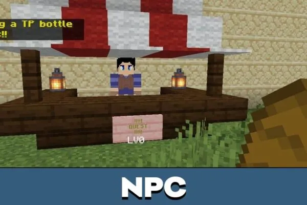 NPC from Sword Art Online Map for Minecraft PE