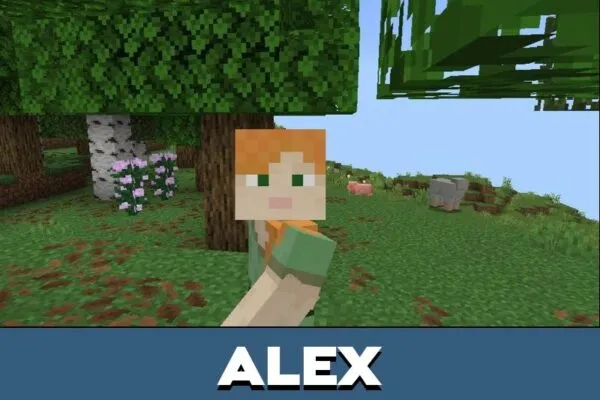 Alex from Sodium Mod for Minecraft PE