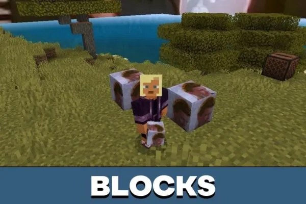Blocks from Rickroll Mod for Minecraft PE
