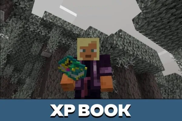 Book from Crazy Tools Mod for Minecraft PE