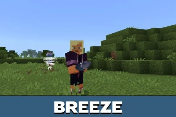 Breeze from Truly Bedrock Texture Pack for Minecraft PE