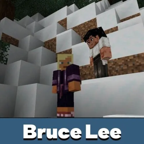 Bruce Lee Mod for Minecraft PE
