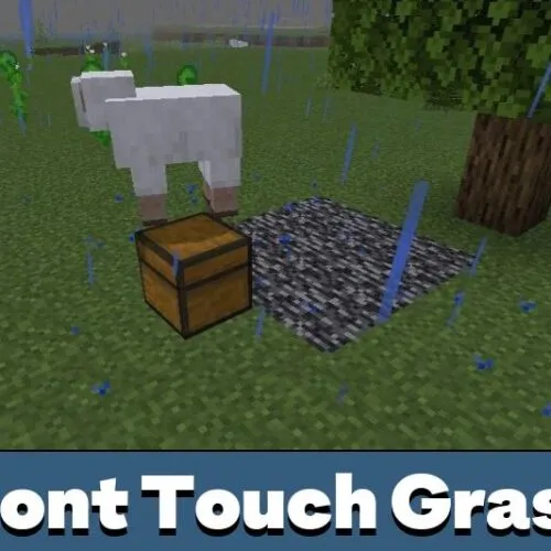 Dont Touch Grass Map for Minecraft PE
