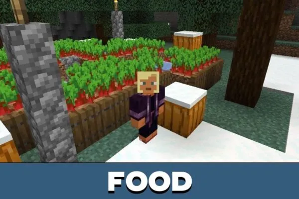Food from Skill Points Mod for Minecraft PE