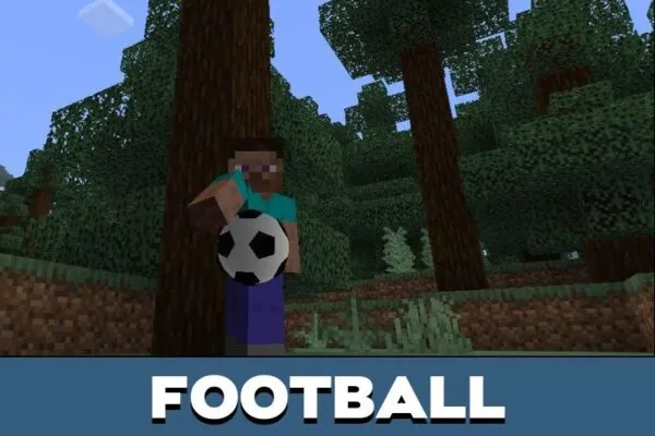 Football from Ball Mod for Minecraft PE