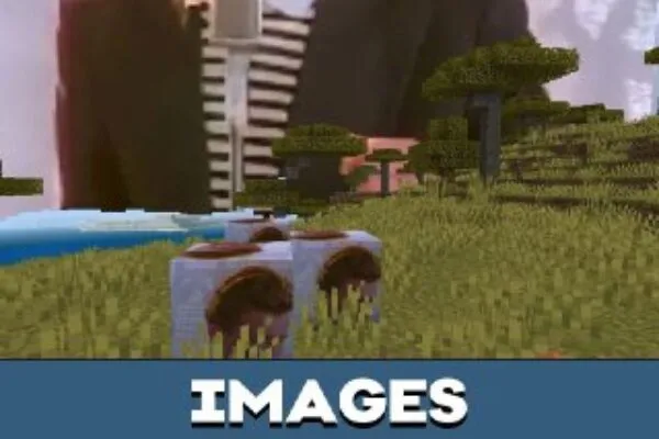 Images from Rickroll Mod for Minecraft PE
