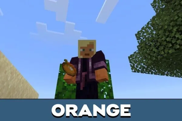 Orange from Fruit Mod for Minecraft PE