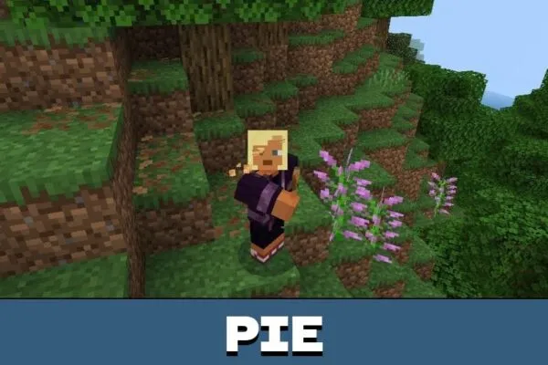 Pie from Eating Animation Texture Pack for Minecraft PE