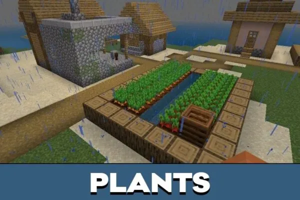 Plants from Dont Touch Grass Map for Minecraft PE