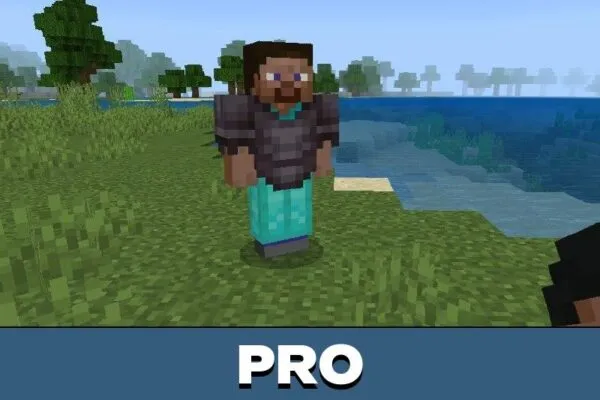 Pro from Noob Mod from Minecraft PE