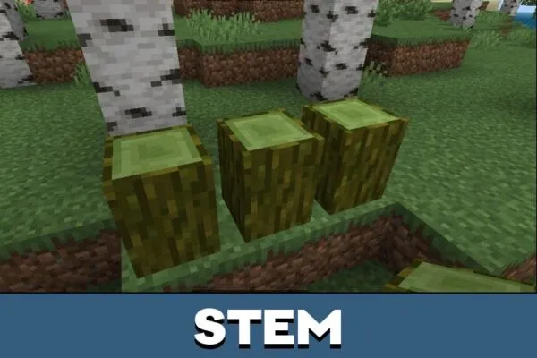 Stem from Fruit Mod for Minecraft PE