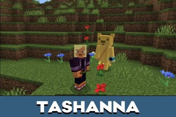 Tashanna from Domo Kun Mod for Minecraft PE