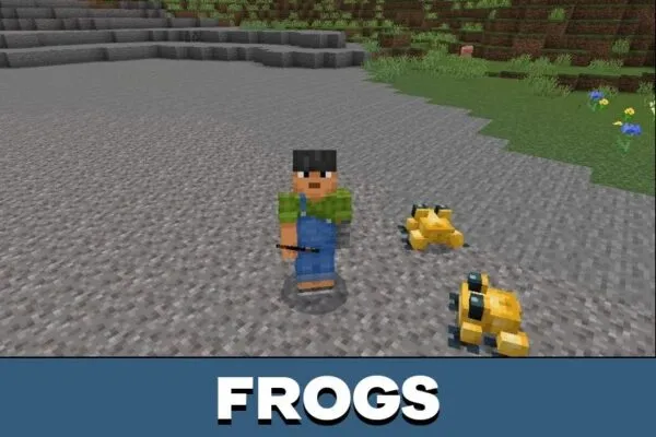 Frogs from Naturalist Mod for Minecraft PE