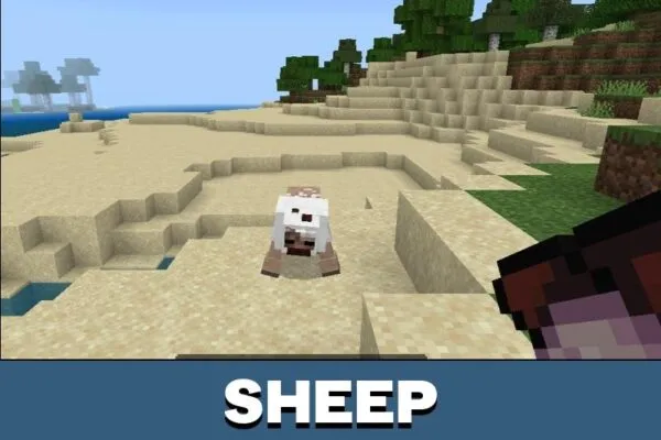 Sheep from Fungus Hazard Mod for Minecraft PE
