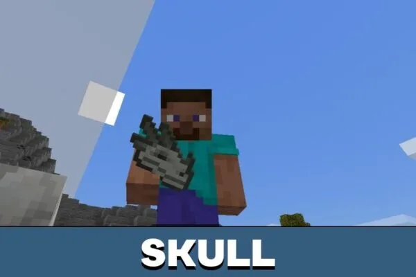 Skull from Frost and Flames Mod for Minecraft PE