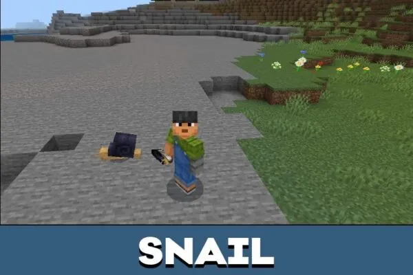 Snails from Naturalist Mod for Minecraft PE