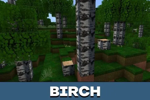 Birch from Manyzz Texture Pack for Minecraft PE