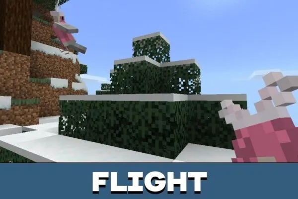 Flight from Parrot Mod for Minecraft PE