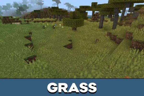 Grass from Gamma Optimizer Texture Pack for Minecraft PE