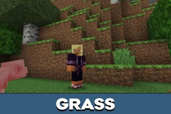 Grass from Moving Texture Pack for Minecraft PE