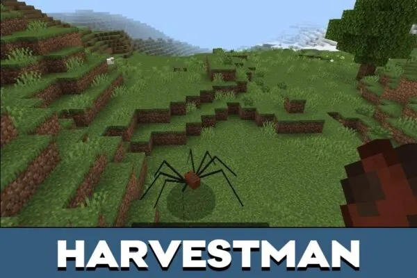 Harvestman from Arachnophobia Mod for Minecraft PE
