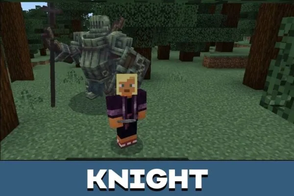 Knight from Sky Biomes Mod for Minecraft PE