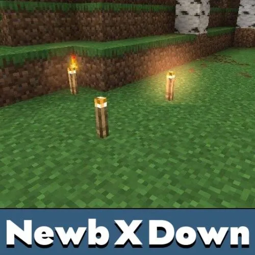 Newb X Down Texture Pack for Minecraft PE